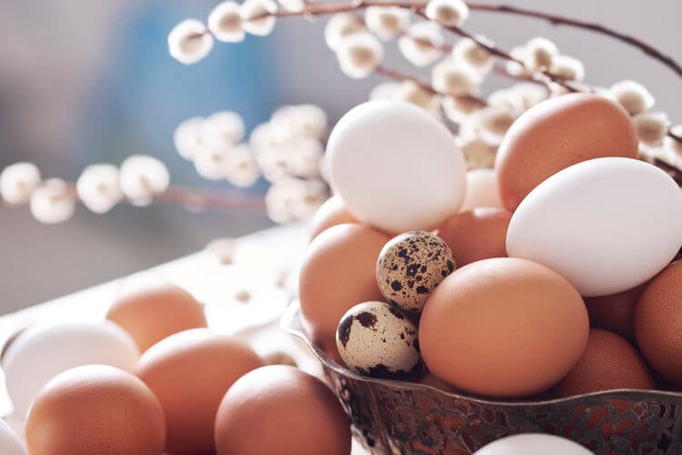 eggs for collagen production